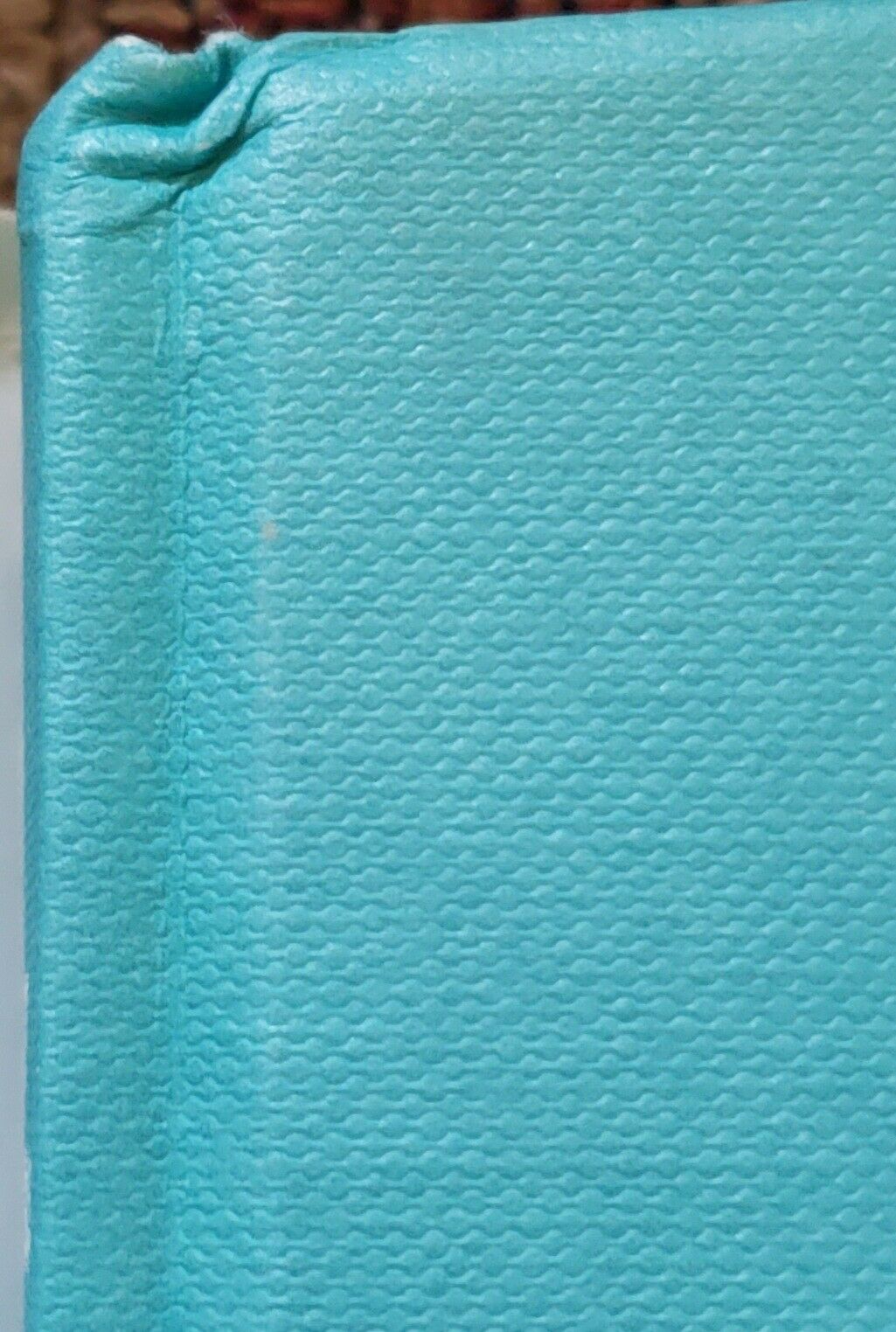 Fruit Chafers of Southern Africa - Erik Holm & Eugene Marais RARE Beetles Insect - Fresh Stock Dated December 2025