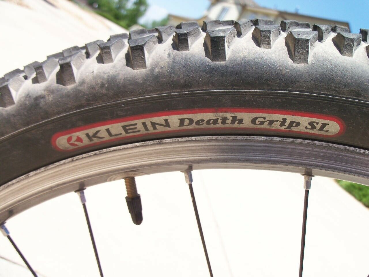 2003 Klein Palomino Kalahari Blood Red, 17