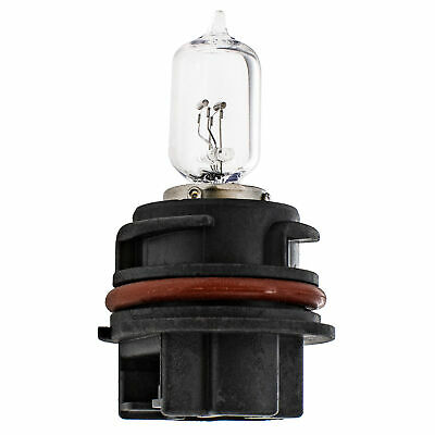 NICHE Headlight Bulb for Kawasaki Brute force 750 650 Suzuki Vinson 500 - Fresh Stock Dated February 2026