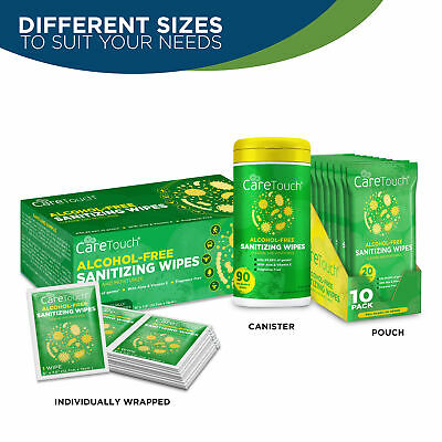 Care Touch Alcohol-Free Hand Sanitizing Wipes - 12 Pouches, 240 Wipes - Fresh Stock Dated February 2026