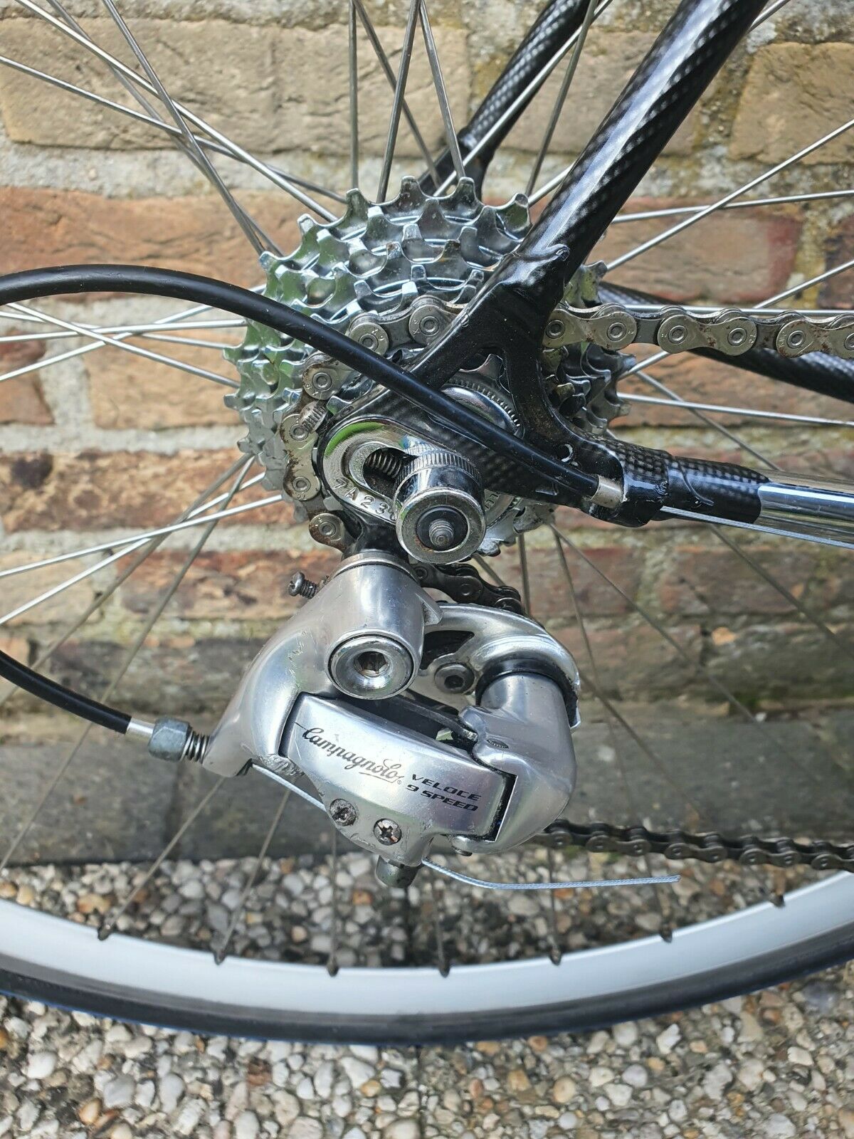 Colnago Master, Campagnolo Chorus, Columbus Gilco Profilo Steel Tubing. - Fresh Stock Dated February 2026