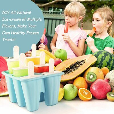 Molde De Silicona Para Helados Hacer Con 50 Palitos Maquina 6 Orificios Bandeja - Fresh Stock Dated December 2025