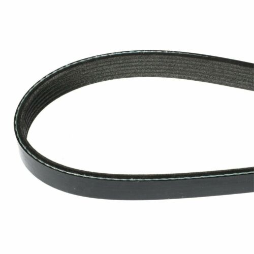 Mercury Marine Serpentine Belt 305/350 #57-865615Q03 - Fresh Stock Dated February 2026