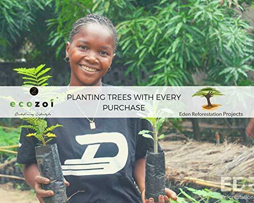 ecozoi Stainless Steel Popsicle Molds and Rack - 6 Ice Pop Makers + 6 Reusable - Fresh Stock Dated December 2025