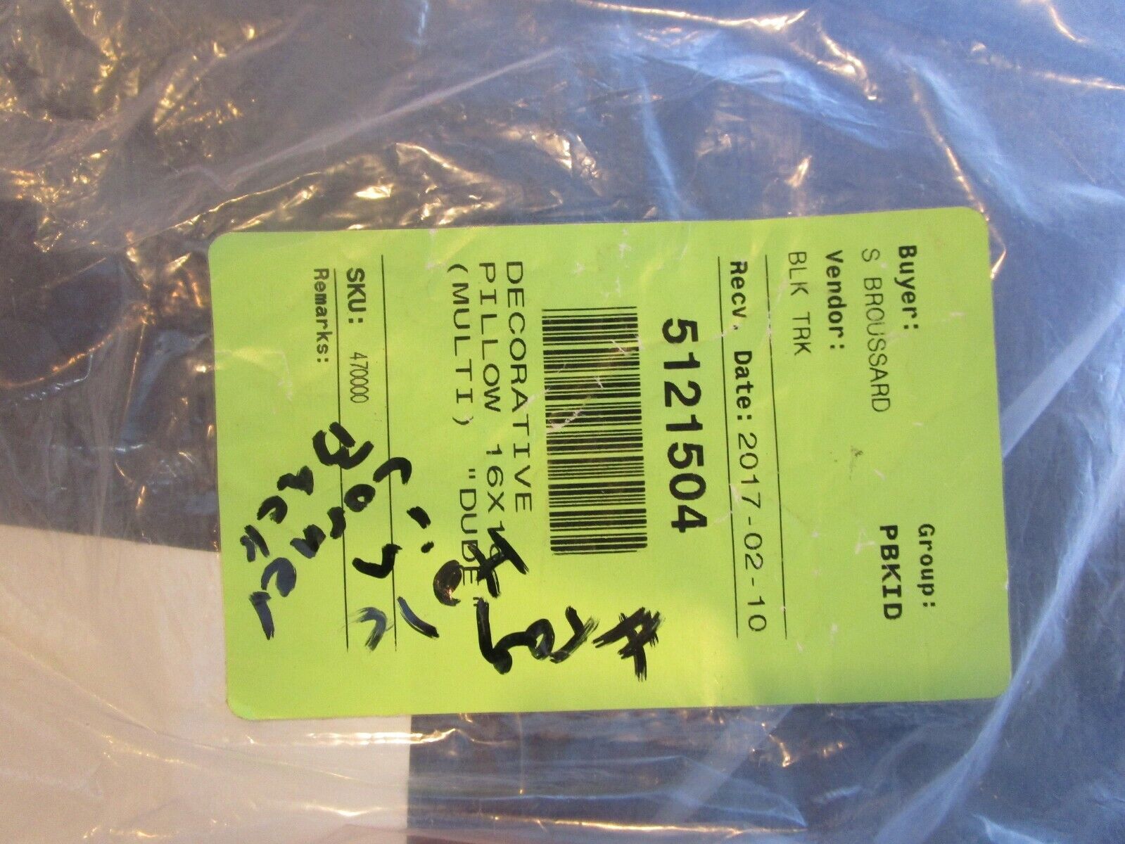 Pottery Barn Kids DUDE 16