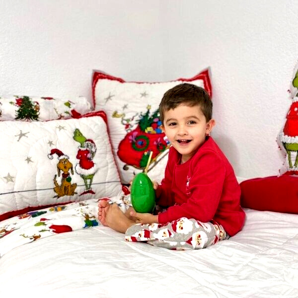 Pottery Barn Grinch Christmas pillow cover Sham Dr Seuss Holiday Gift party dogs - Fresh Stock Dated February 2026