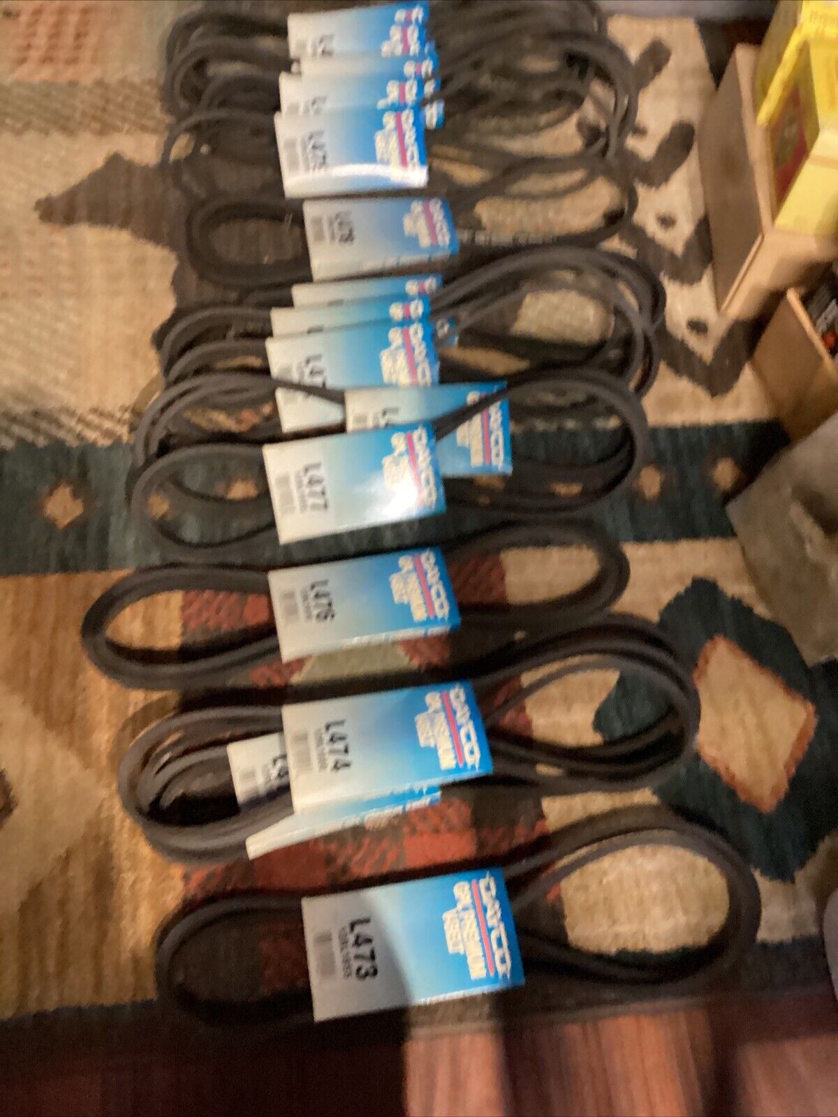 DAYCO #L477 GPL PREMIUM V-BELT 13RL1955 Nos - Fresh Stock Dated February 2026