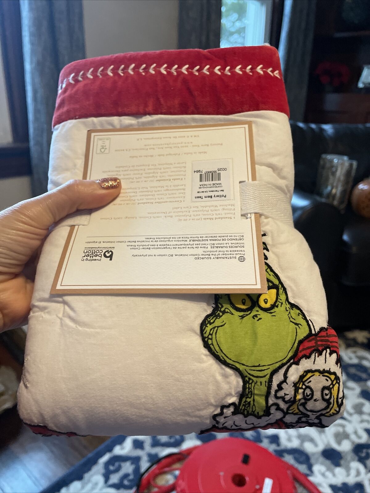 Pottery Barn Grinch Christmas pillow cover Sham Dr Seuss Holiday Gift party dogs - Fresh Stock Dated February 2026