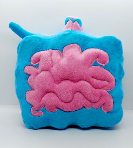 Turqoise & Blue Character Square Pillow 12x12 - Fresh Stock Dated December 2025