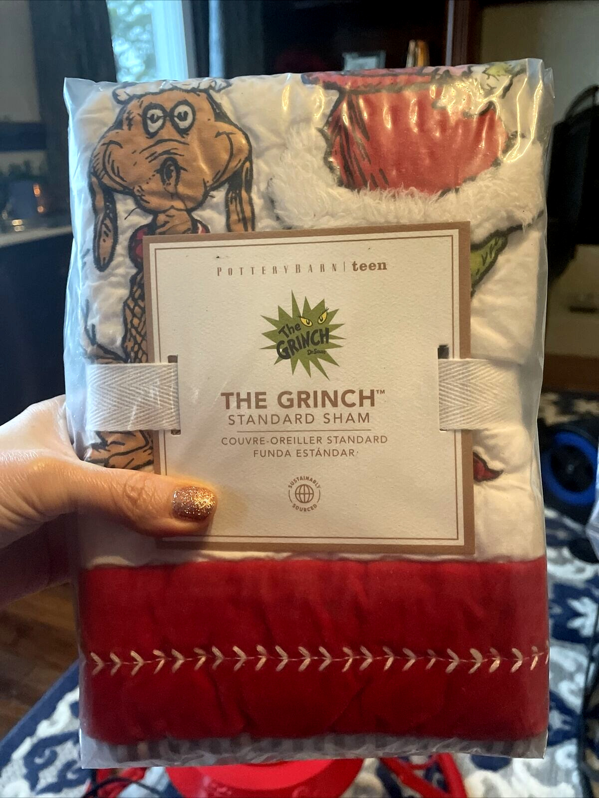Pottery Barn Grinch Christmas pillow cover Sham Dr Seuss Holiday Gift party dogs - Fresh Stock Dated February 2026