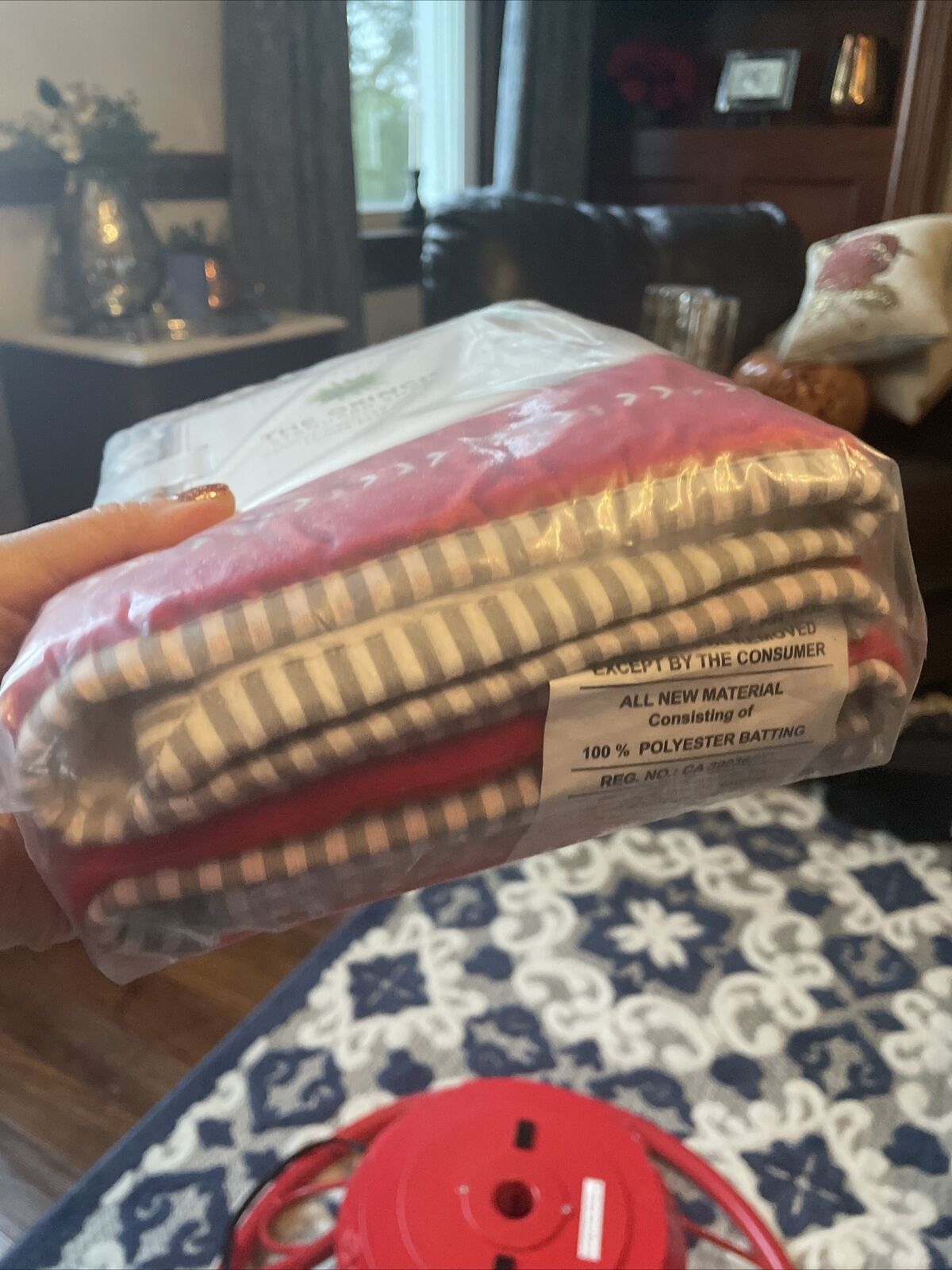 Pottery Barn Grinch Christmas pillow cover Sham Dr Seuss Holiday Gift party dogs - Fresh Stock Dated February 2026