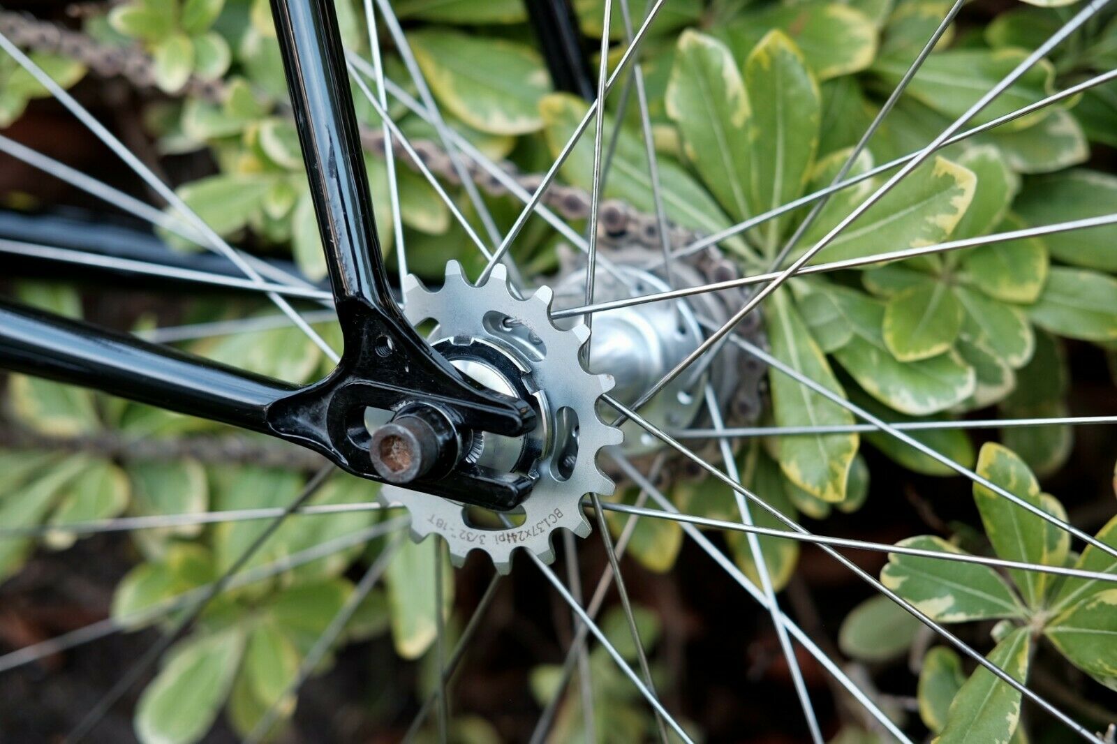 Wabi Classic Lightweight Chromoly Single Speed Fixed Gear bicycle, 52cm, used - Fresh Stock Dated February 2026