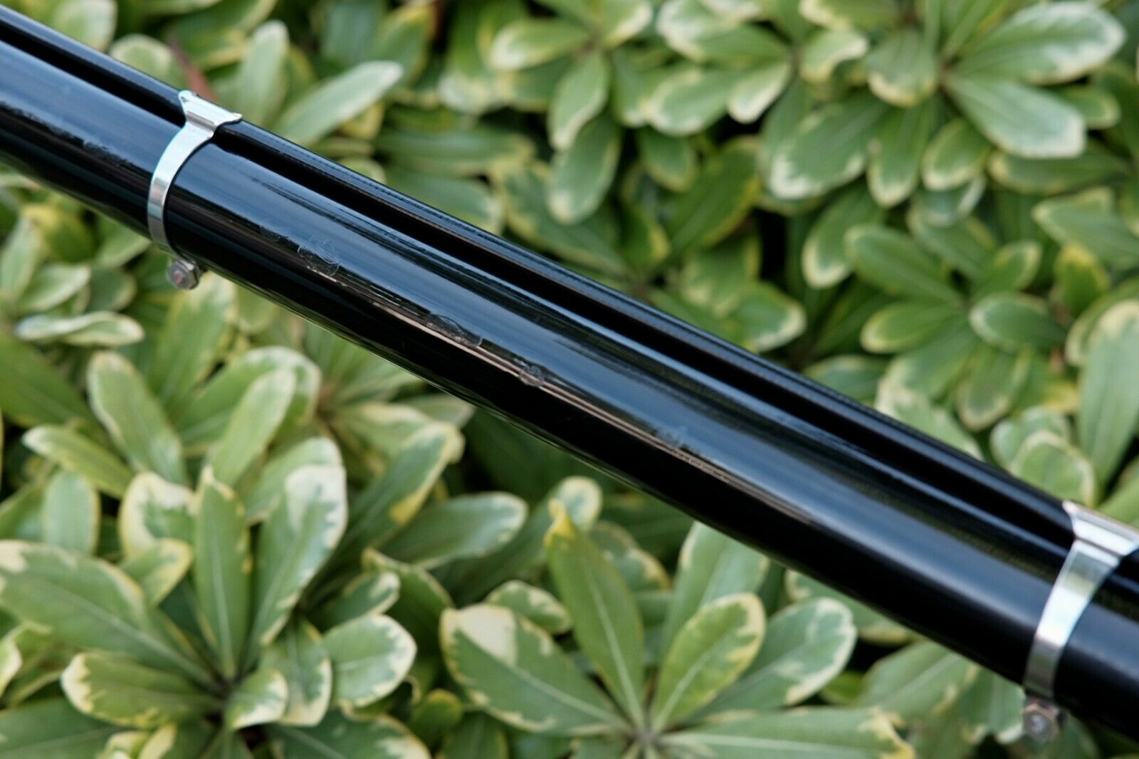 Wabi Classic Lightweight Chromoly Single Speed Fixed Gear bicycle, 52cm, used - Fresh Stock Dated February 2026