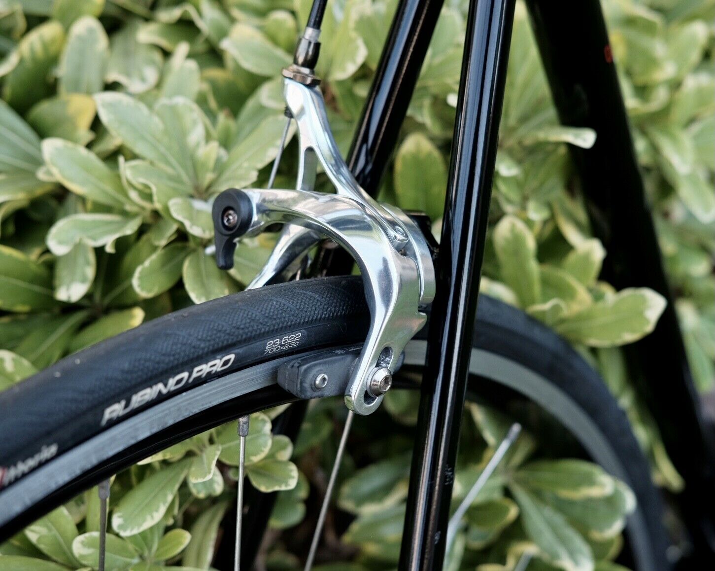 Wabi Classic Lightweight Chromoly Single Speed Fixed Gear bicycle, 52cm, used - Fresh Stock Dated February 2026