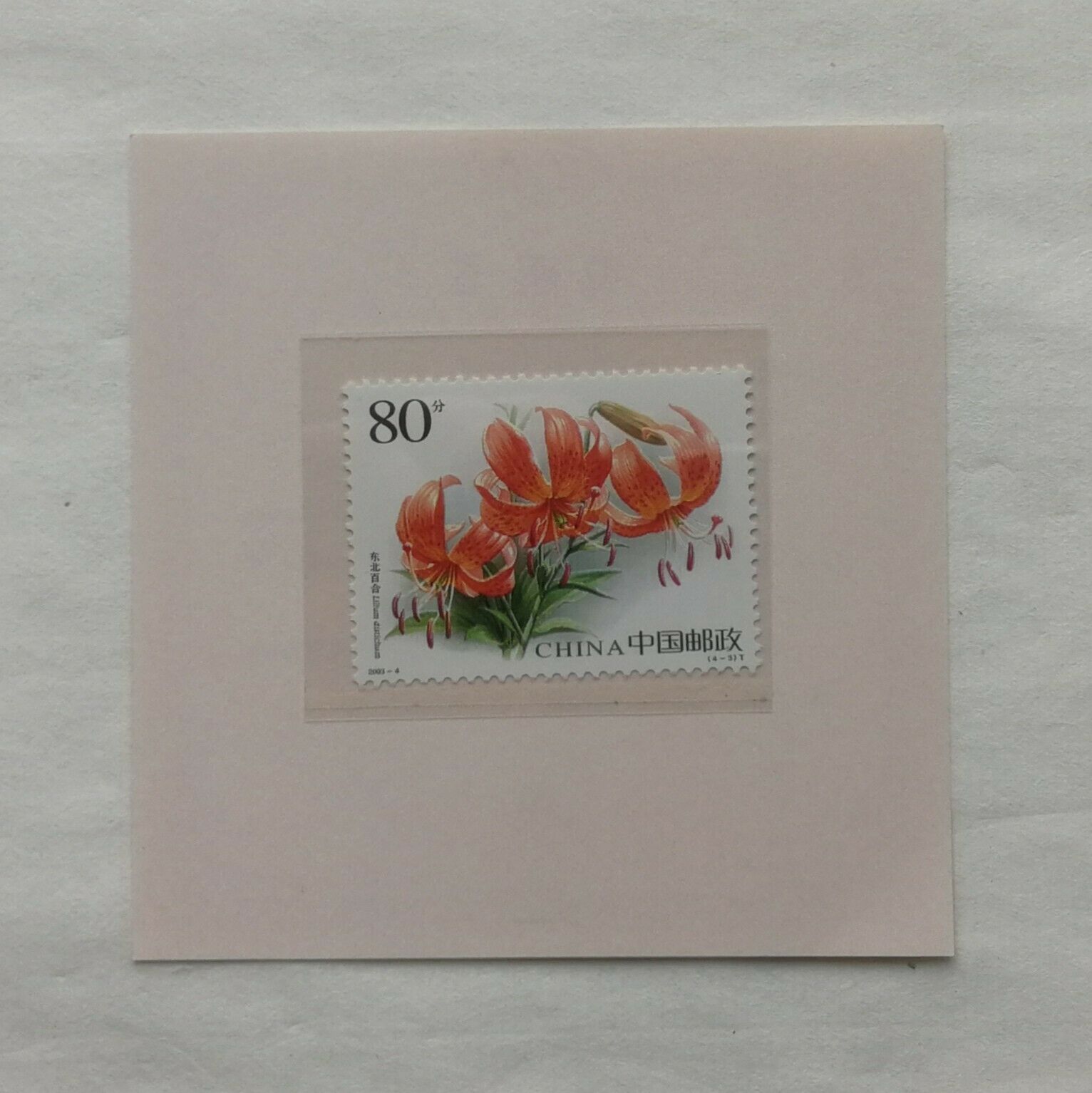 China 2019 PRC 70th Anniversary Striving Toward a New Era Copper Medal 60mm COA - Fresh Stock Dated February 2026