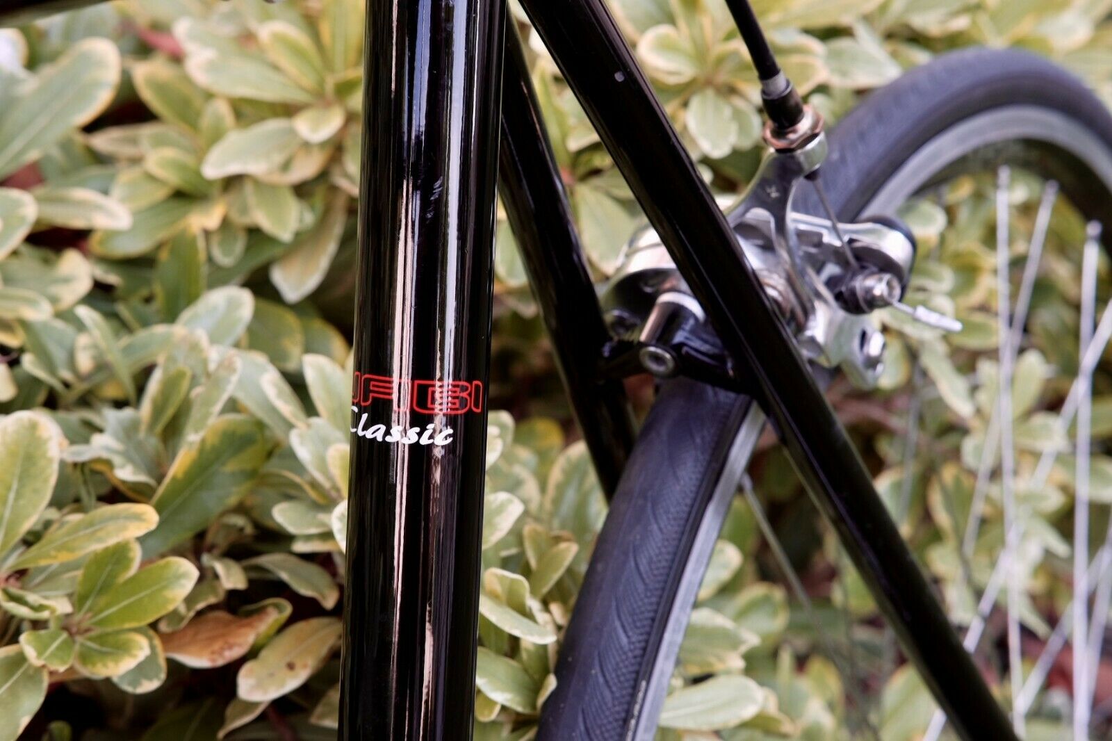 Wabi Classic Lightweight Chromoly Single Speed Fixed Gear bicycle, 52cm, used - Fresh Stock Dated February 2026