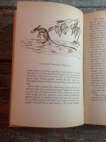 Animal Treasure By Ivan T. Sanderson, Hardcover 1937 - Fresh Stock Dated December 2025