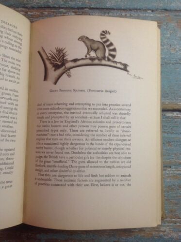 Animal Treasure By Ivan T. Sanderson, Hardcover 1937 - Fresh Stock Dated December 2025