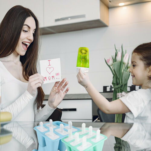 Ice Cream Popsicle Frozen Mold Silicone Lolly Pop Maker Mould Ice Tray Cover Lid - Fresh Stock Dated December 2025