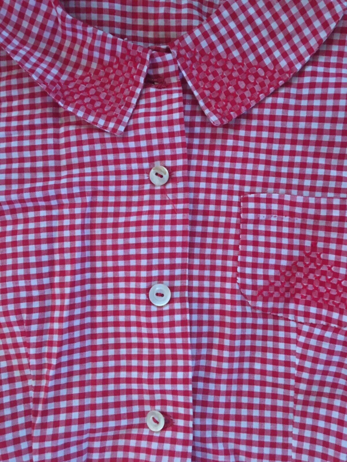 Vtg 1950s GINGHAM CHECK Cross-Stitched Skirt & blouse pre-teen size hand made - Fresh Stock Dated March 2026