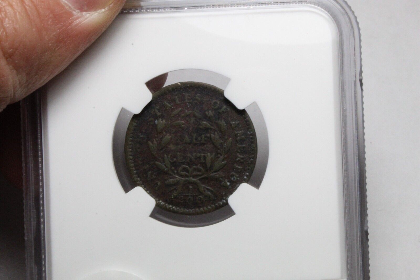 1794 Half Cent Fine Details NGC - Fresh Stock Dated February 2026