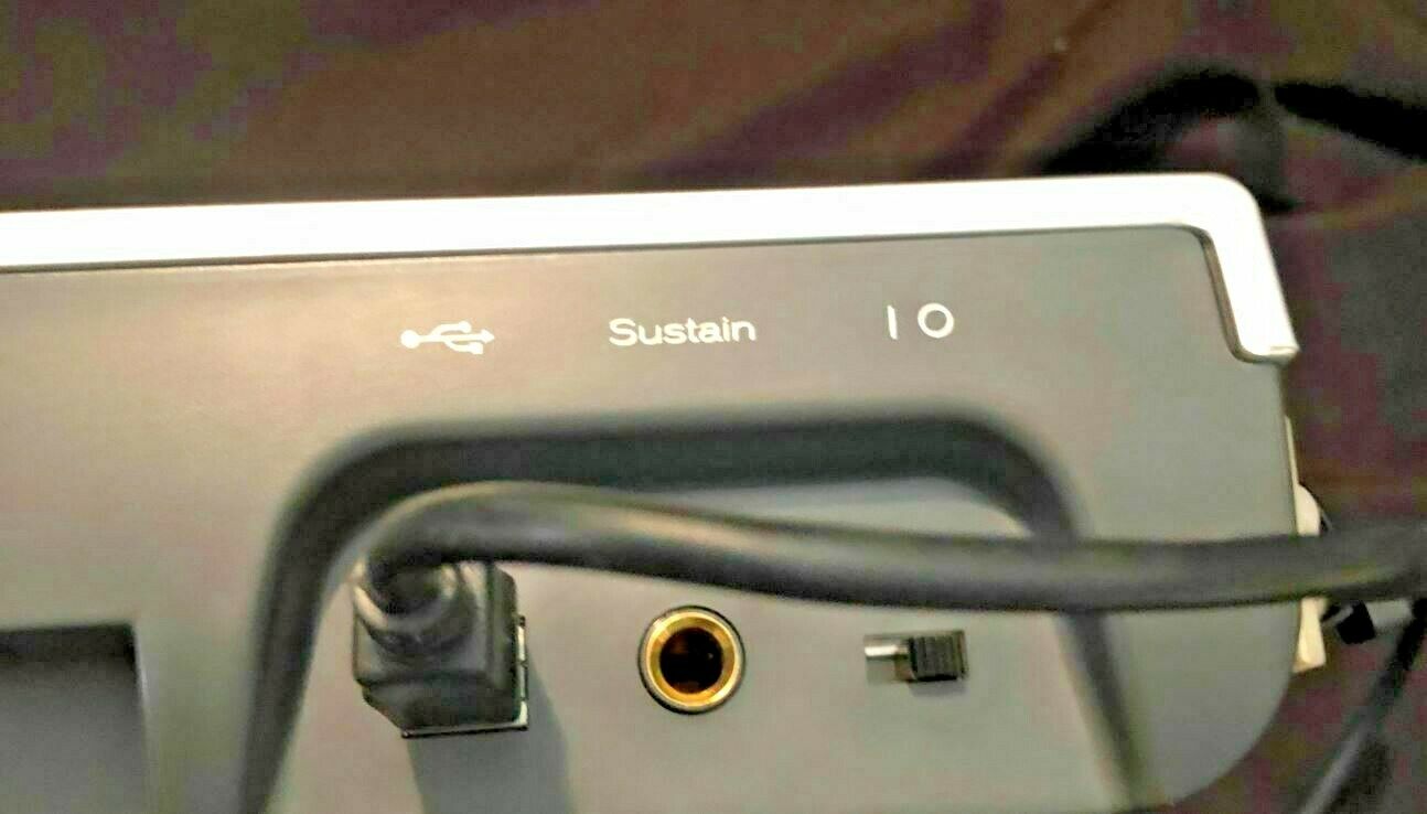 M-Audio KeyRig 49 - 49 Key USB MIDI Keyboard Controller & M-Audio EX-P  Pedal - Fresh Stock Dated February 2026