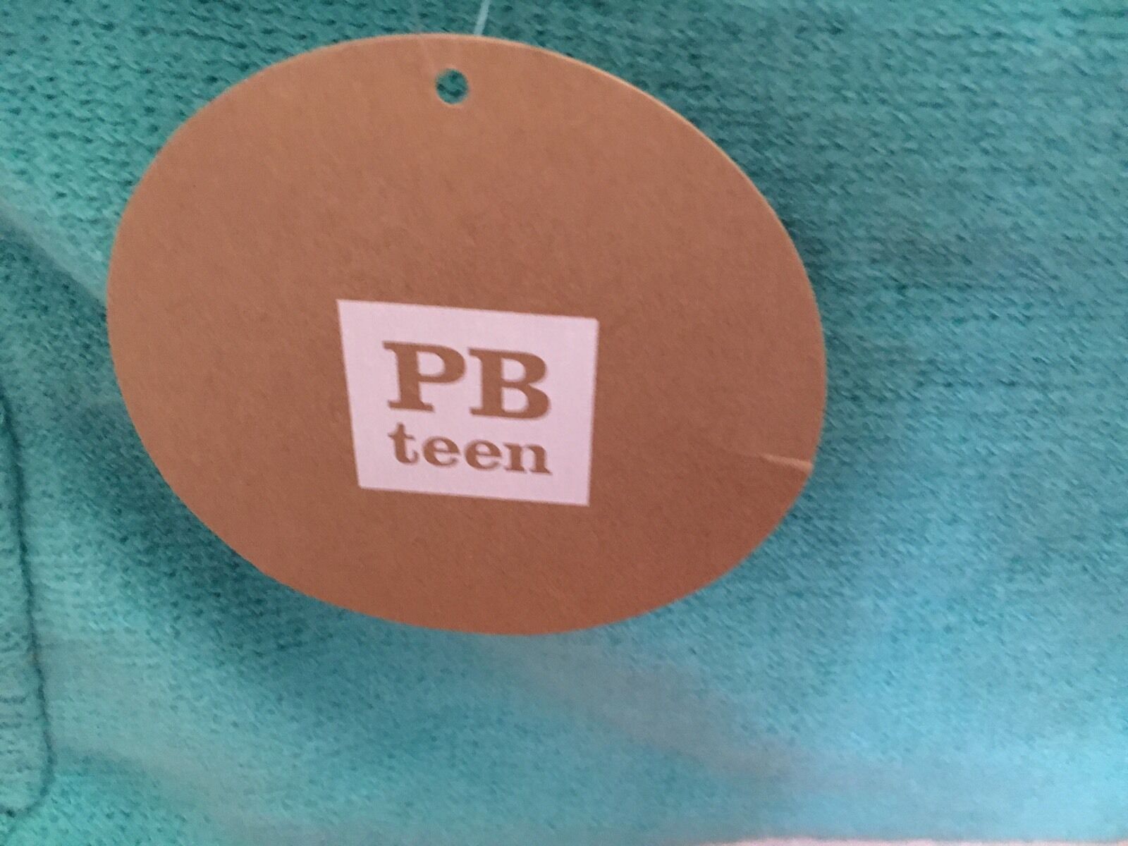 NWT Pottery Barn Teen Ruffle Pillow Cover Teal - Fresh Stock Dated February 2026