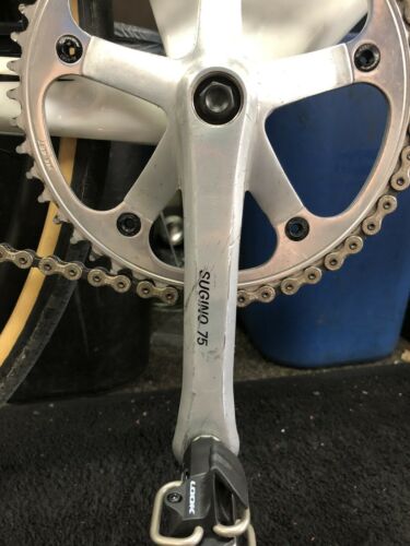 Giant Omnium Track Bike Size Large w/ Zipp Carbon Bars Slightly Used Parts - Fresh Stock Dated February 2026