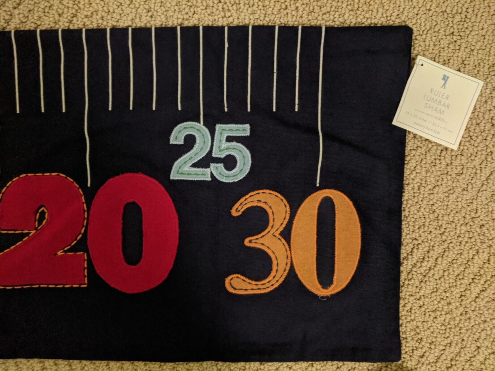 Pottery Barn Kids Lumbar Sham Pillow Cover Primary Colors ~ NEW - Fresh Stock Dated February 2026