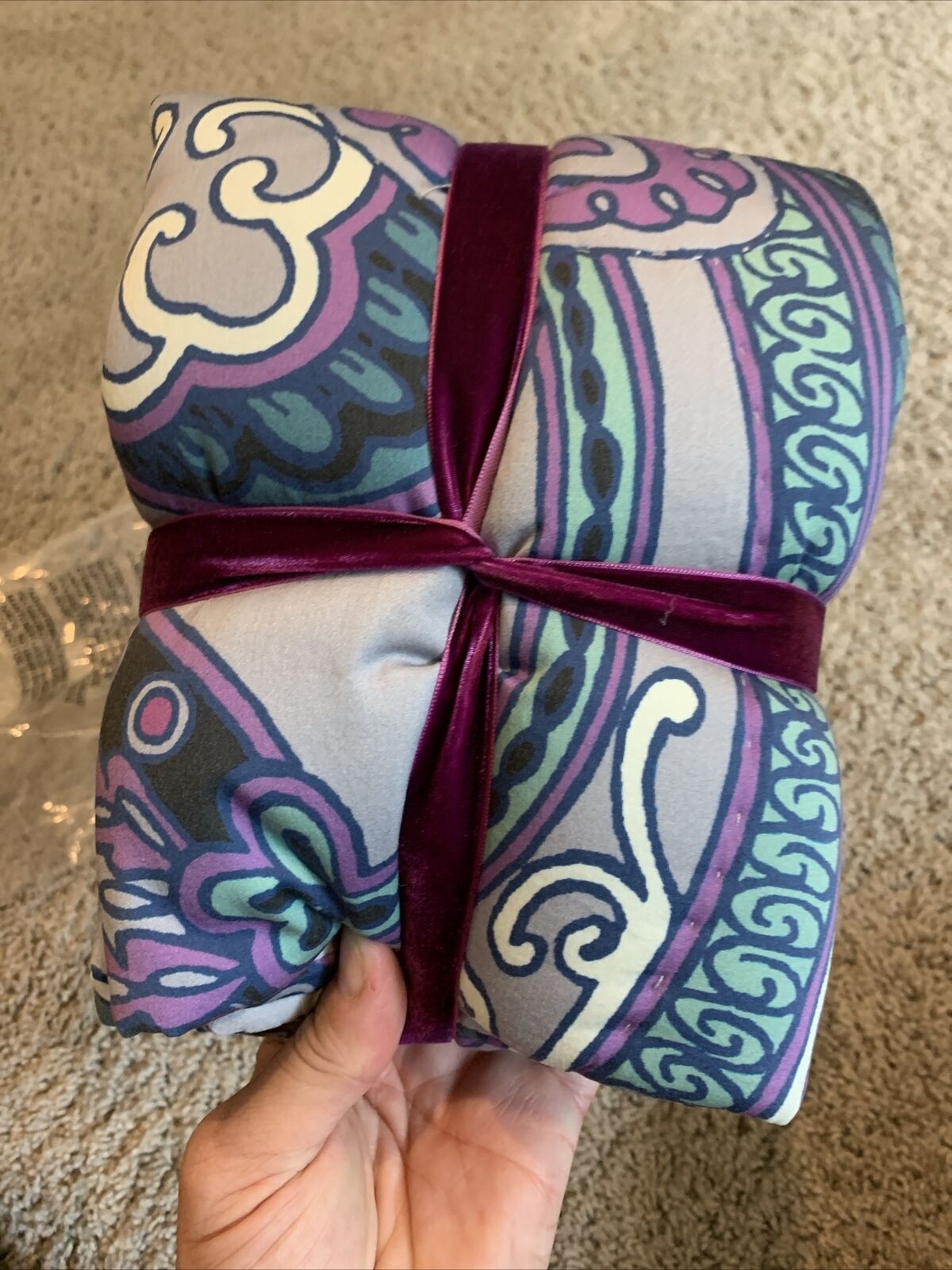 pottery barn teen anna sui flight of fancy sham - Fresh Stock Dated December 2025