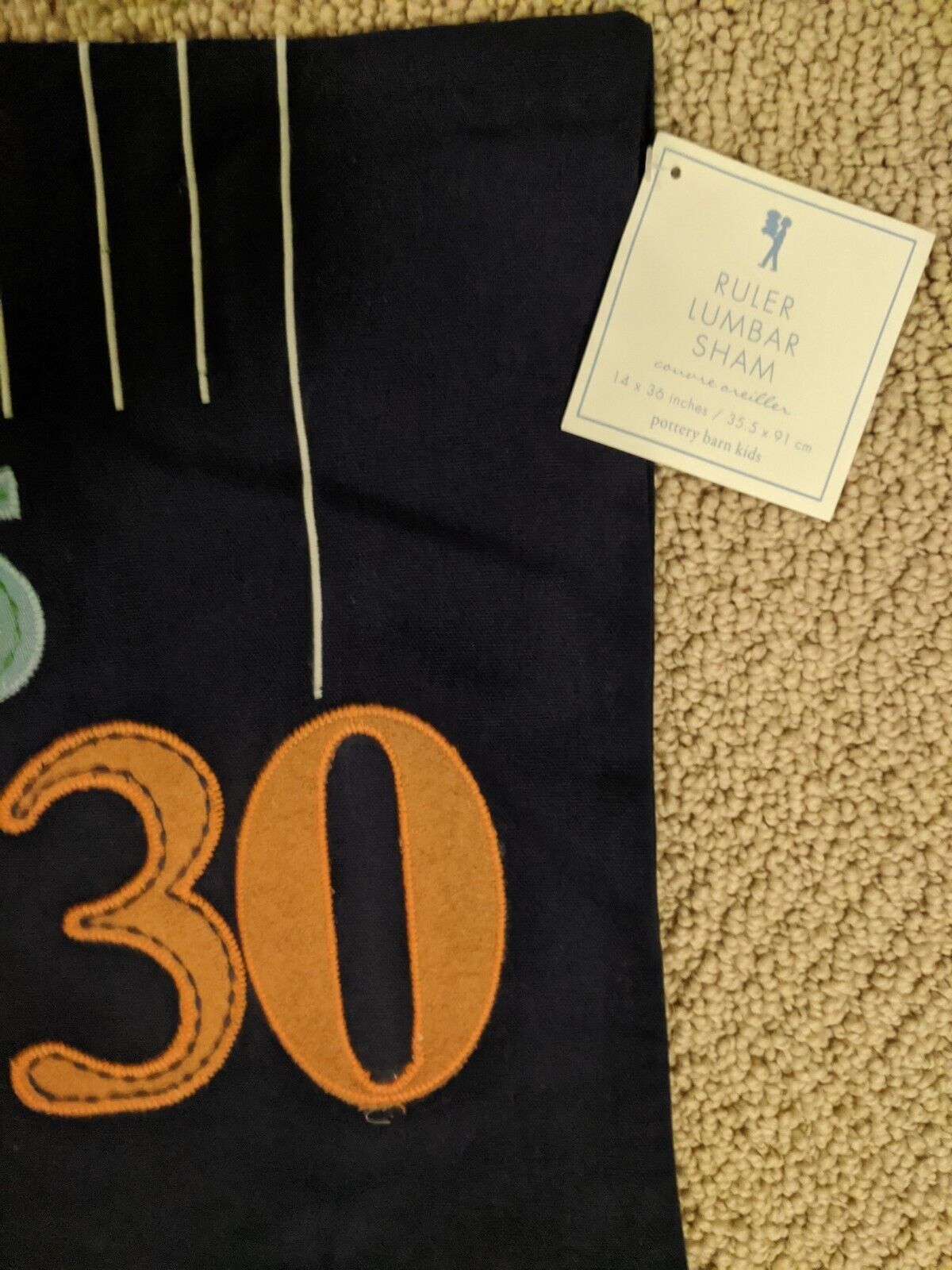 Pottery Barn Kids Lumbar Sham Pillow Cover Primary Colors ~ NEW - Fresh Stock Dated February 2026