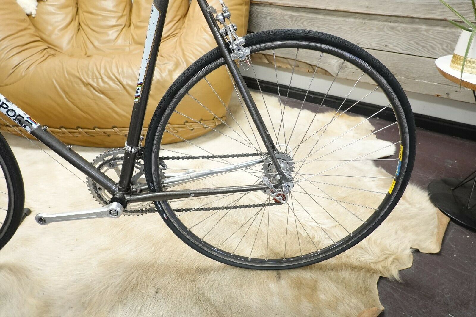 Vintage Colnago Sport Bike 59cm 700C Campagnolo Gipiemme Mavic Campagnolo RARE - Fresh Stock Dated February 2026