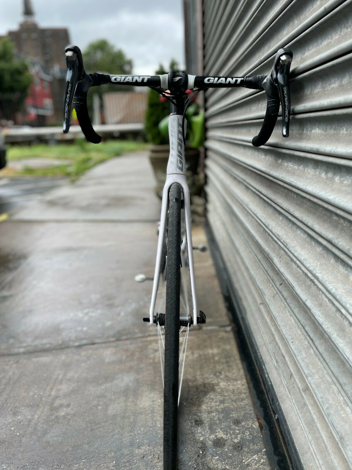 Giant Propel Advanced SL w/ Dura-Ace Components and Bontrager RaceXXXLite Wheels - Fresh Stock Dated December 2025