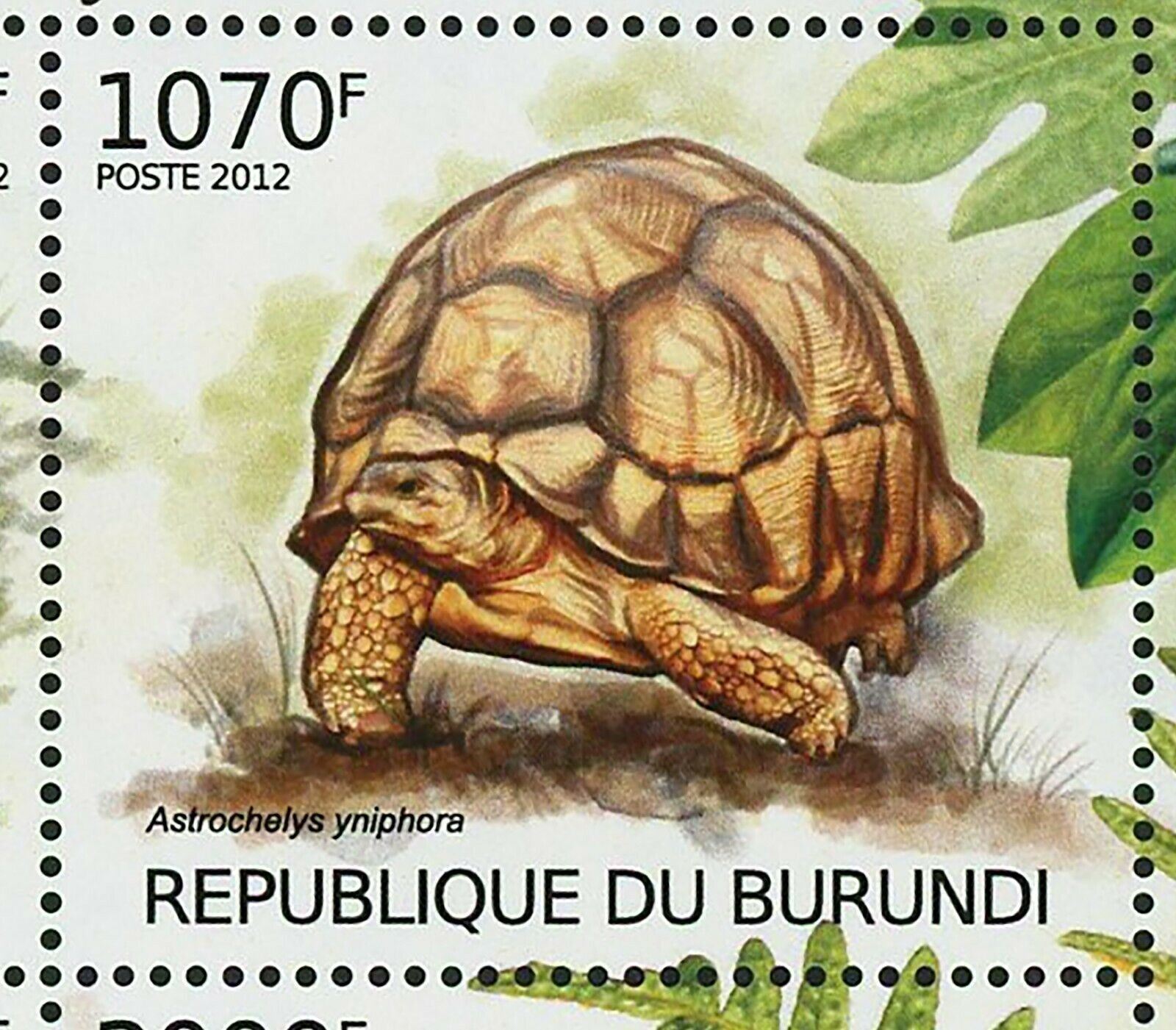 Reptiles Stamp Calumma Tarzan Acanthodactylus Beershebensis S/S MNH #2560-2563 - Fresh Stock Dated January 2026