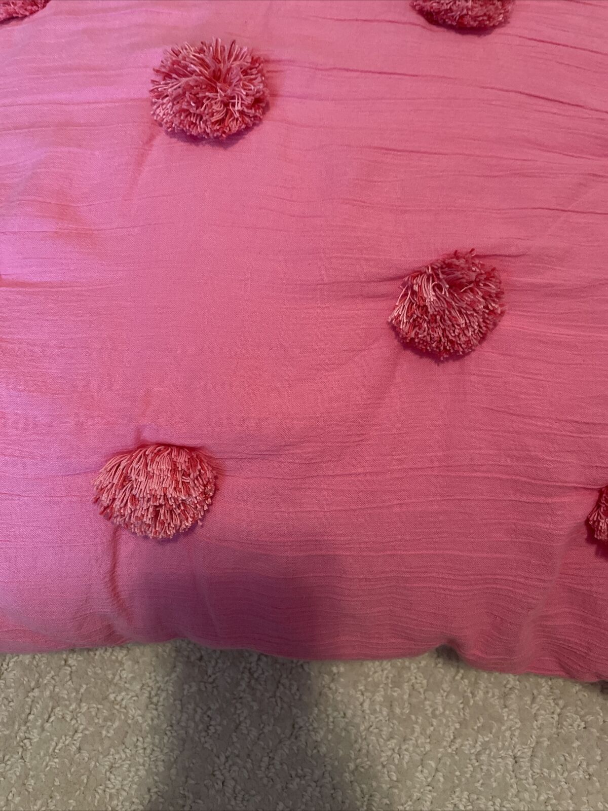 Pottery Barn Teen Euro Sham And Insert Pink - Fresh Stock Dated February 2026