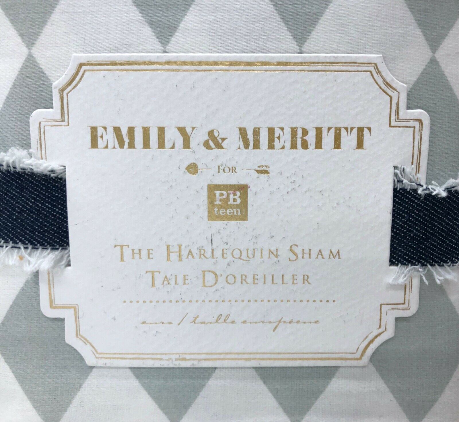 NEW Pottery Barn TEEN Emily & Meritt Harlequin EURO Sham~Sky Gray - Fresh Stock Dated December 2025