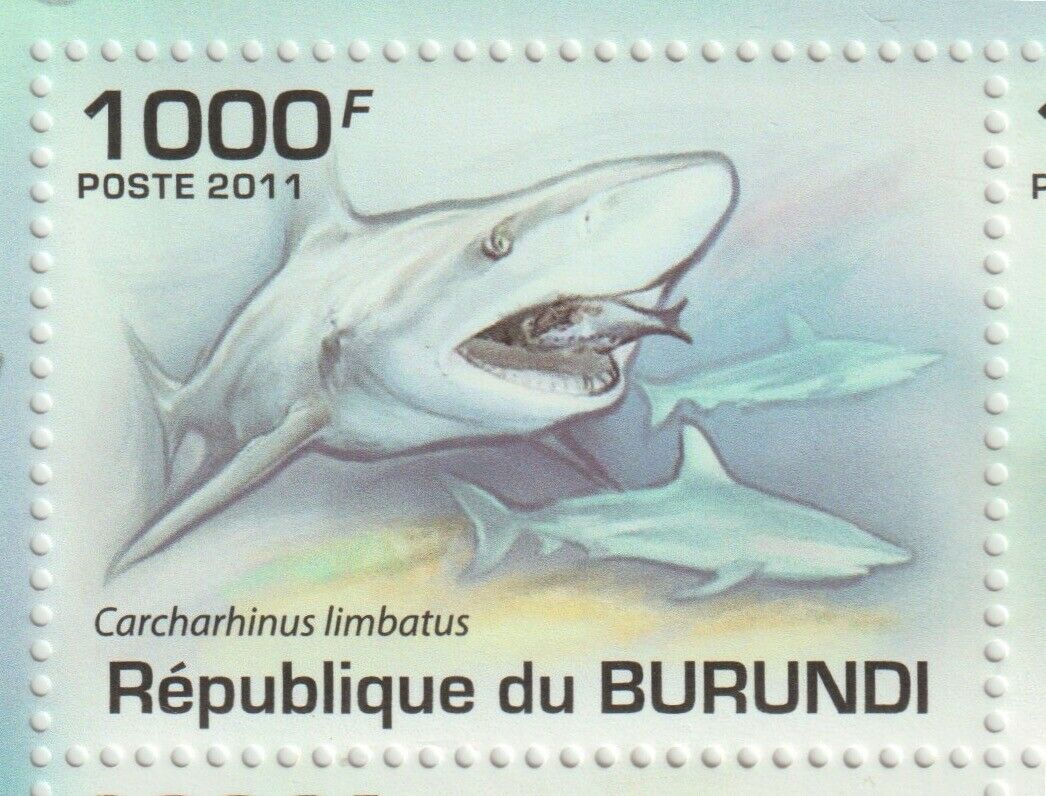 Burundi 2011 Souvenir sheet #896 Fish and Marine Life (Set of 4) - MNH - Fresh Stock Dated December 2025