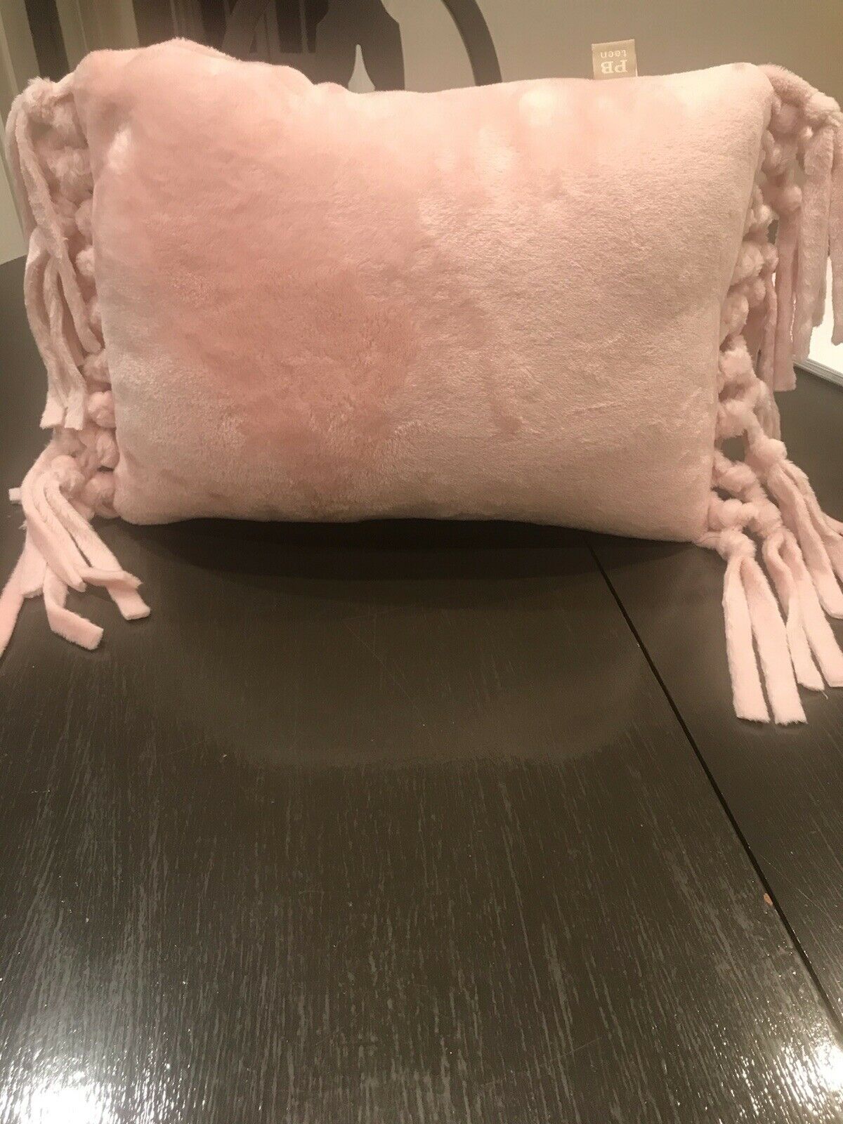 Pottery Barn PB Teen Plush Pink Soft Sherpa Throw Fringed Pillow 100% Polyester - Fresh Stock Dated December 2025