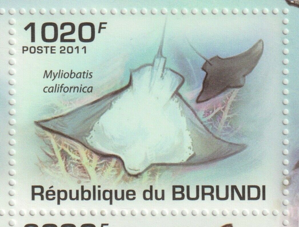 Burundi 2011 Souvenir sheet #896 Fish and Marine Life (Set of 4) - MNH - Fresh Stock Dated December 2025