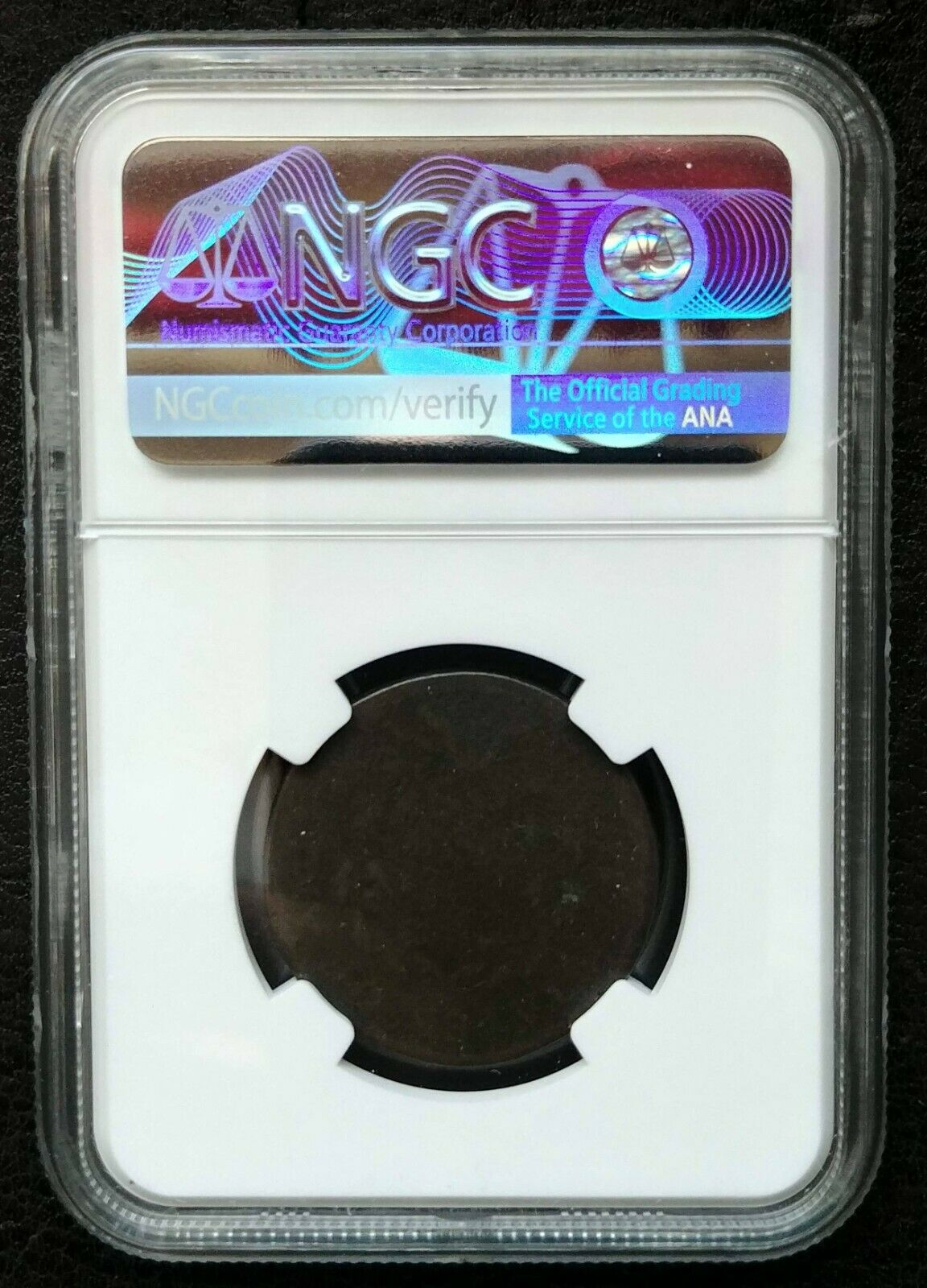 1795 1/2 Cent Plain Edge Liberty Cap NGC Average Good Details, Env. Damage - Fresh Stock Dated February 2026