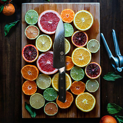 Kessaku Chef Knife Dynasty 67-Layer Japanese Damascus Stainless Steel, 8-Inch - Fresh Stock Dated December 2025