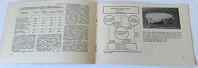 1967 USSR Soviet Russia Estonian BACON BREED of PIGS Booklet Catalog - Fresh Stock Dated December 2025