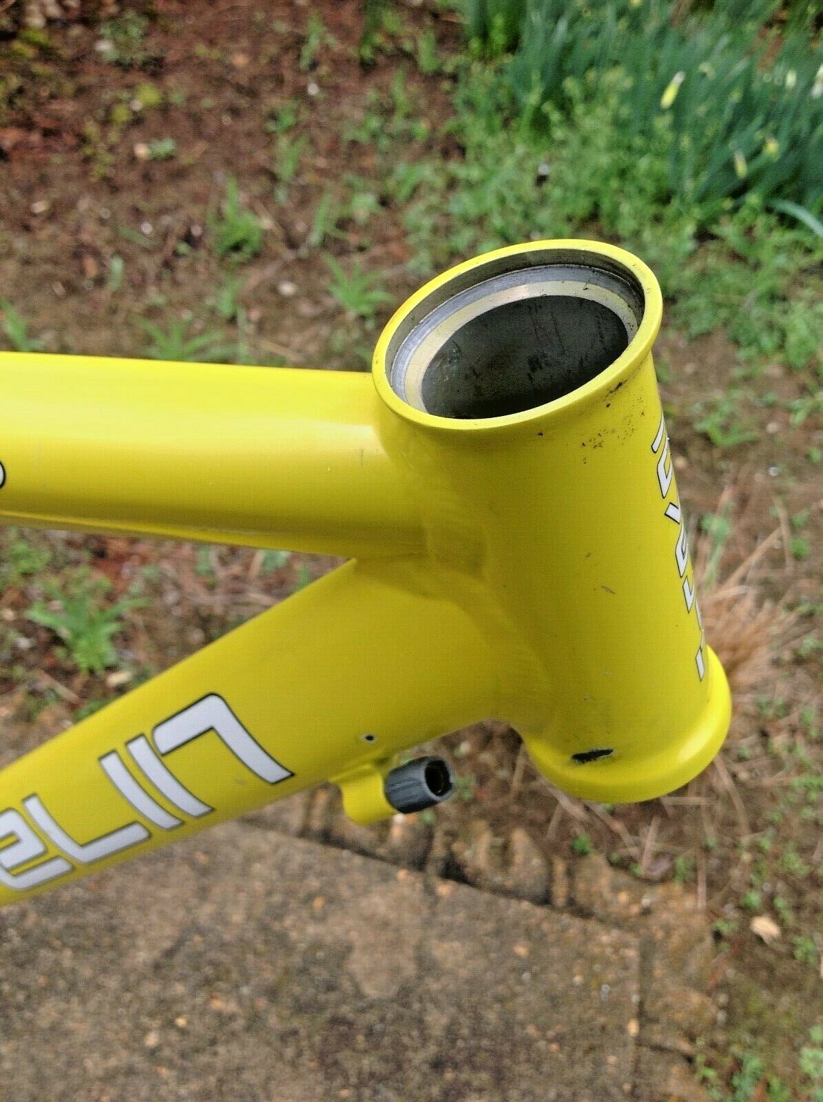 Rare Javelin Brunello SRA 54 Cm Custom Butted Scandium Carbon Fiber Nat'l Champ - Fresh Stock Dated February 2026