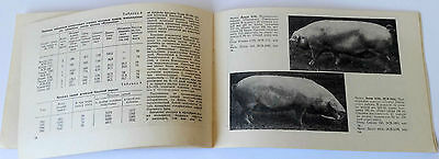 1967 USSR Soviet Russia Estonian BACON BREED of PIGS Booklet Catalog - Fresh Stock Dated December 2025