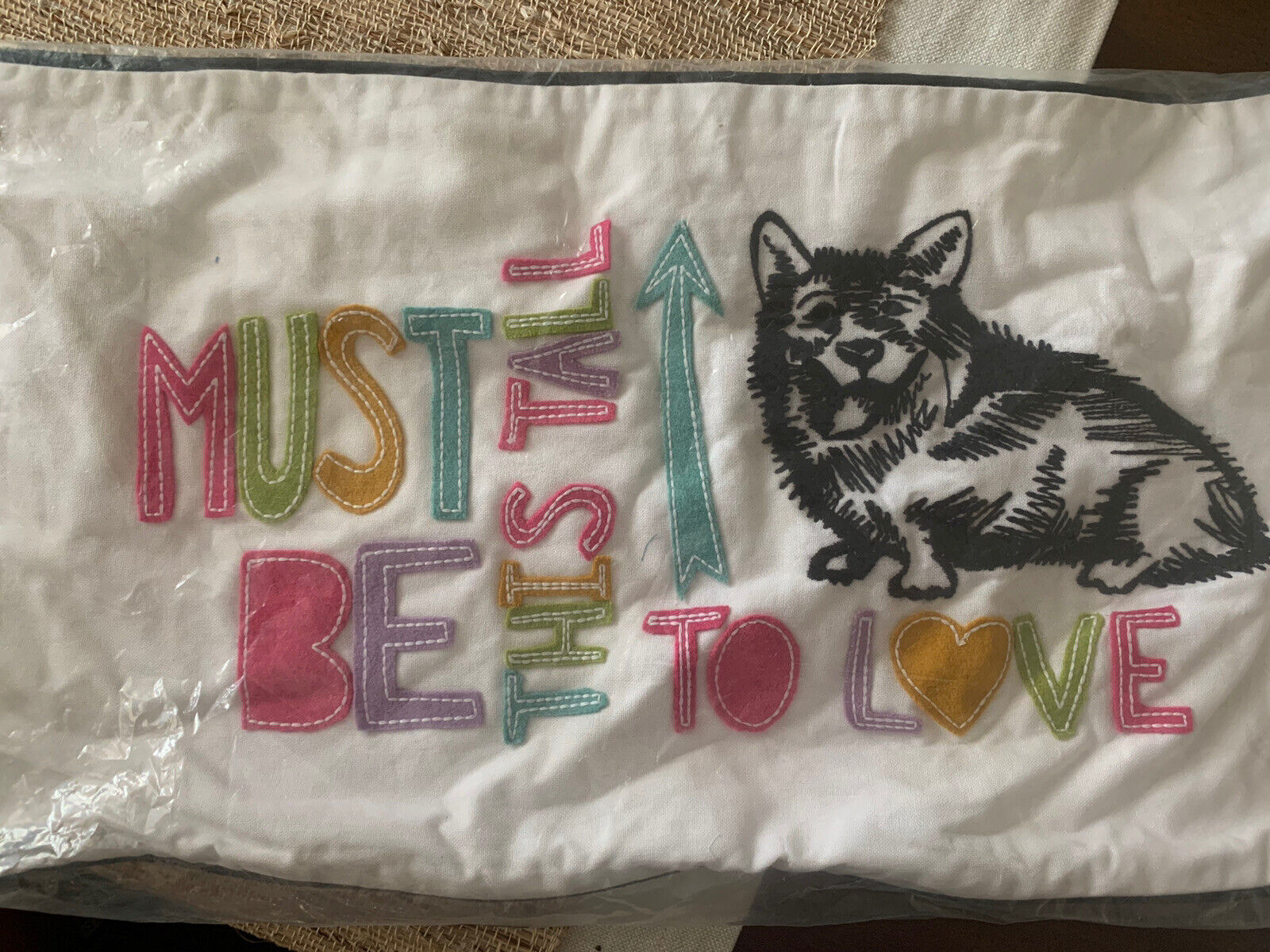 Pottery Barn Teen Pet Pals Pillow Cover NWT - Fresh Stock Dated February 2026