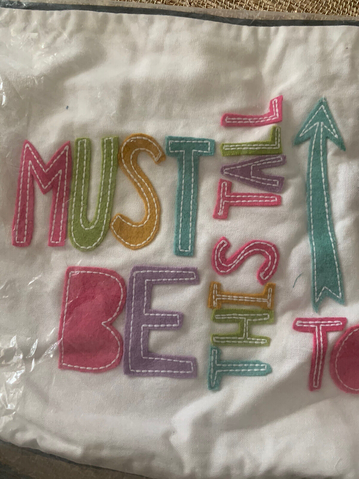 Pottery Barn Teen Pet Pals Pillow Cover NWT - Fresh Stock Dated February 2026