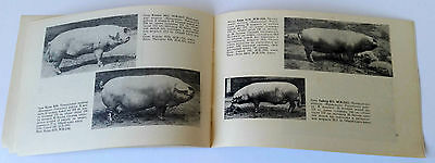 1967 USSR Soviet Russia Estonian BACON BREED of PIGS Booklet Catalog - Fresh Stock Dated December 2025