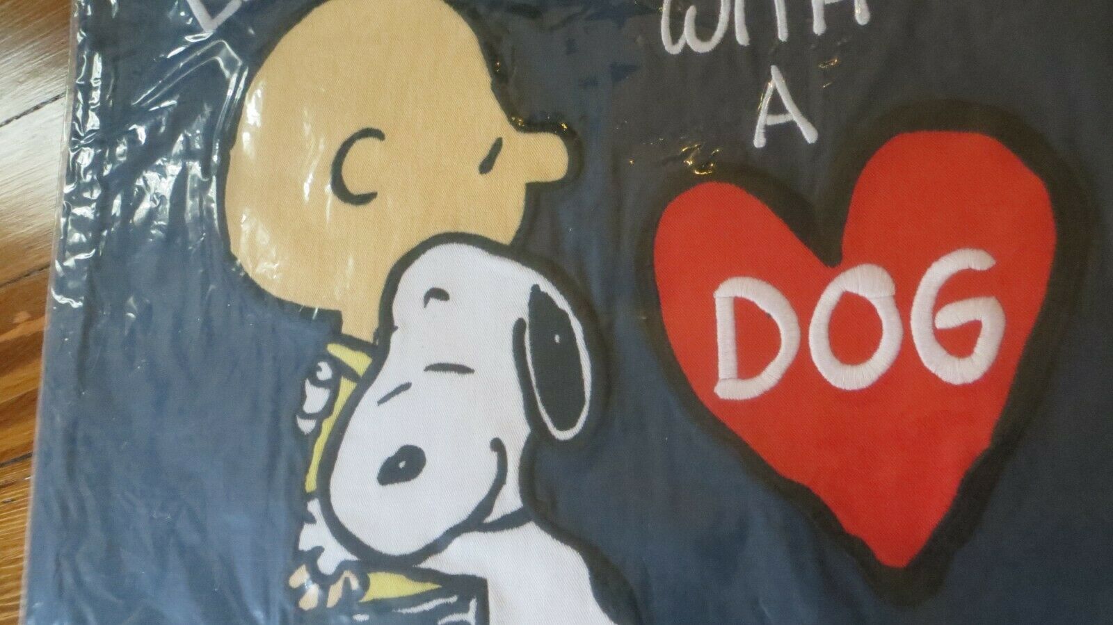 Pottery Barn kid Peanuts SNOOPY dog charlie brown pillow cover Sham Holiday Gift - Fresh Stock Dated December 2025