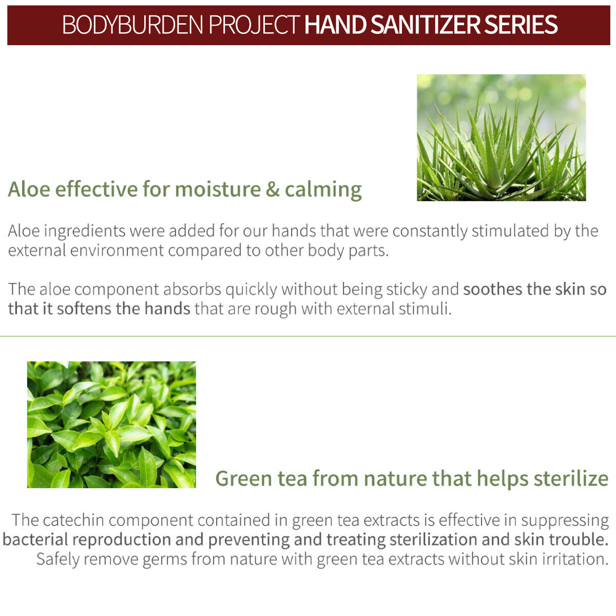 Bodyburden Hand Sanitizer (70% Alcohol Ethanol Gel) 16.9 oz (6 PACK) - Fresh Stock Dated February 2026