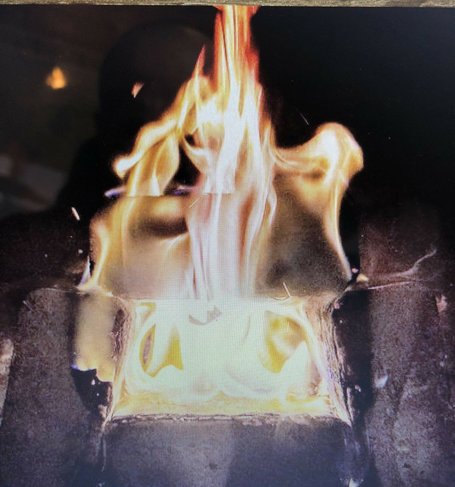 Speedy Blaze 4 pound Natural and Renewable Fire Wood Logs and Firestarter - Fresh Stock Dated December 2025